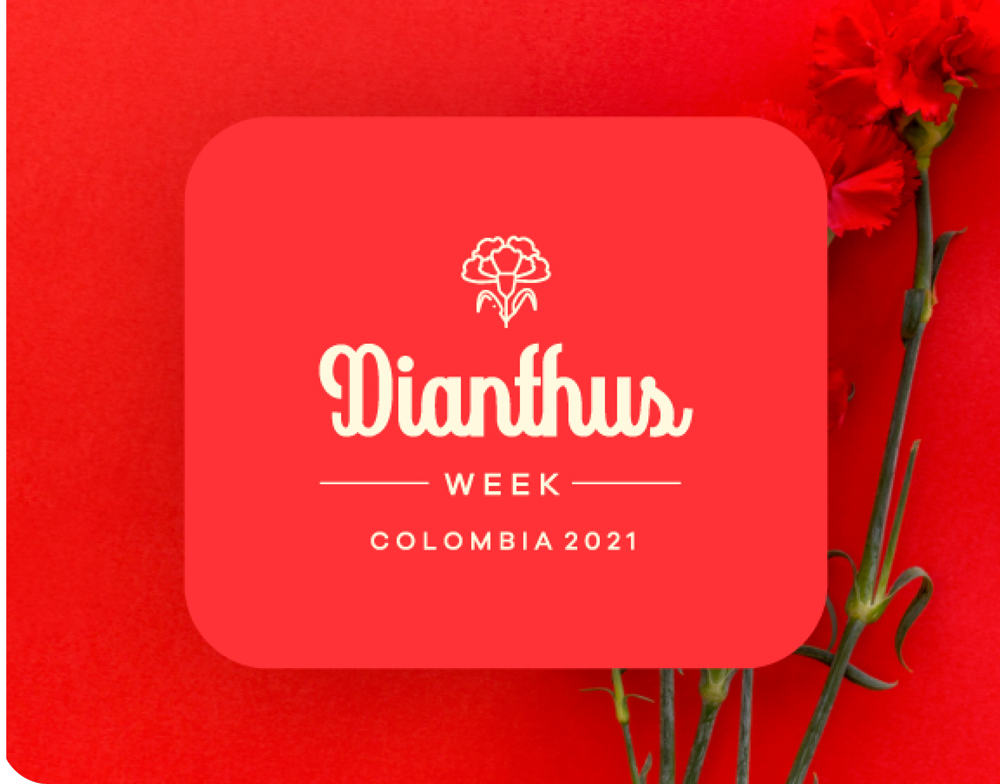 evento-diathus