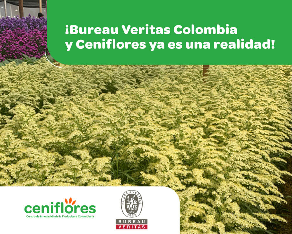 BUREAU_VERITAS