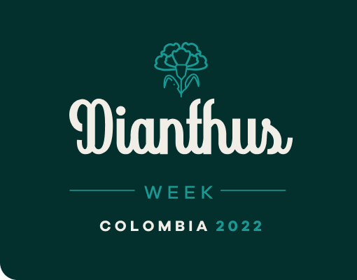 dianthus_2022